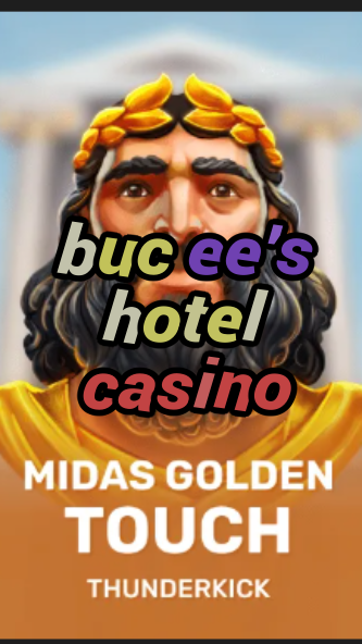 buc ee's hotel casino-3xn3u5udepyz9m9w5iat.com